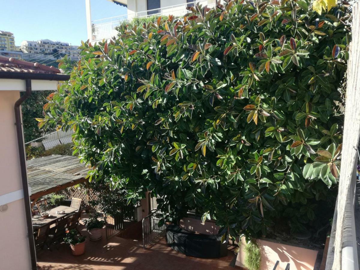 Villa Bruna B&B Σαν Ρέμο Εξωτερικό φωτογραφία